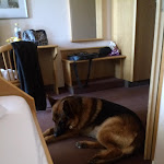 Photo n°1 de l'avis de Hermann.t fait le 17/08/2019 à 12:41 sur le  Restaurant und Landhotel Winter à Gomadingen