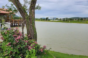 Parque Municipal da Lagoa image