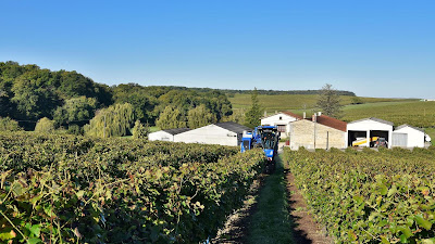 S. P. V. S Cognac Daniel Bouju à Saint-Preuil