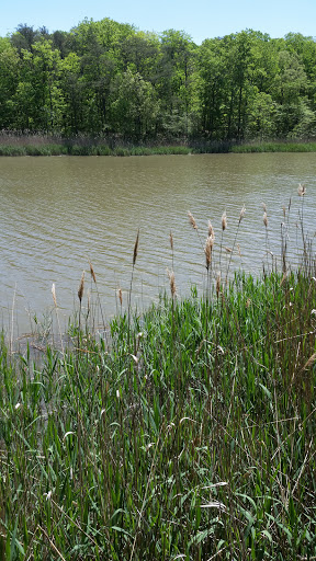 Park «Eastern Regional Park», reviews and photos, 11723 Eastern Ave, Middle River, MD 21220, USA