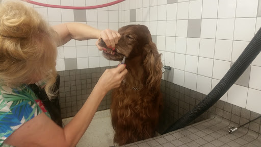 Pet Supply Store «Pet Food Express», reviews and photos, 15466 Los Gatos Blvd, Los Gatos, CA 95032, USA