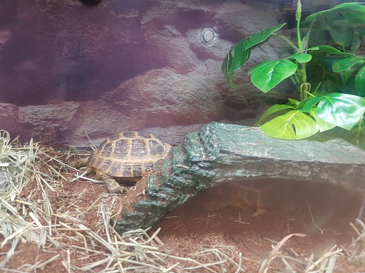 Pet Supply Store «Petco Animal Supplies», reviews and photos, 7308 Alameda St, Walnut Park, CA 90255, USA