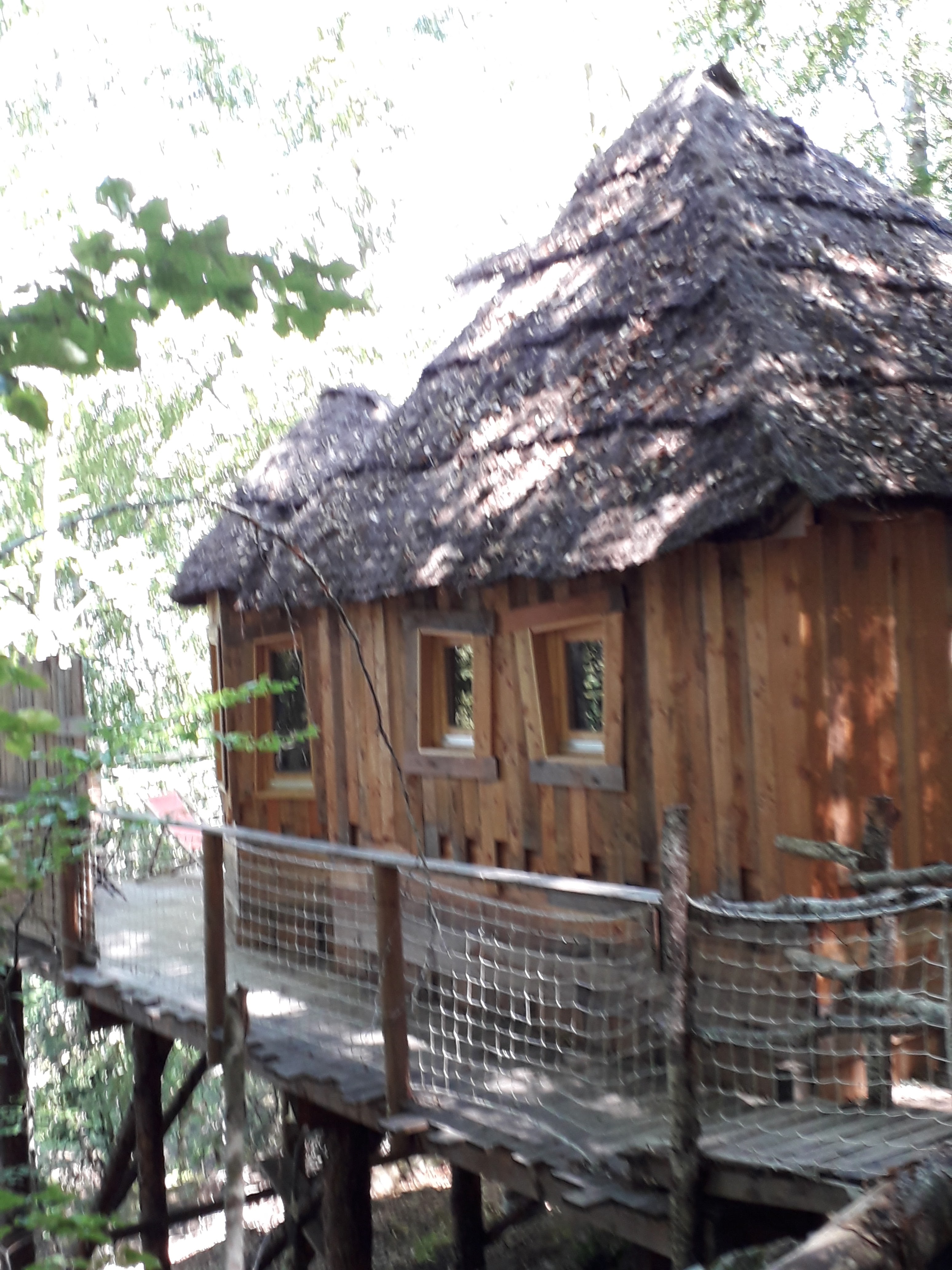 Photo n° 2 de l'avis de Arés.2 fait le 13/08/2020 à 11:06