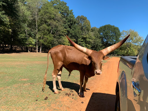 Winery «Kiepersol Estates Winery», reviews and photos, 4120 FM 344 E, Tyler, TX 75703, USA