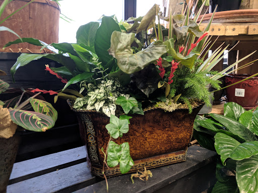 Florist «Longmont Florist, Inc.», reviews and photos, 614 Coffman St, Longmont, CO 80501, USA