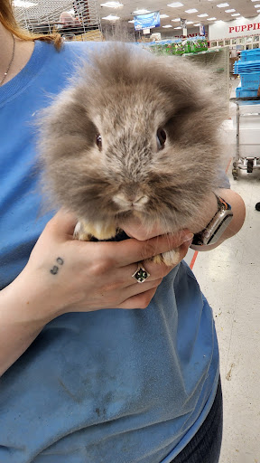 Shopping Mall «Hampton Plaza Shopping Center», reviews and photos, 4033 W Mercury Blvd, Hampton, VA 23666, USA