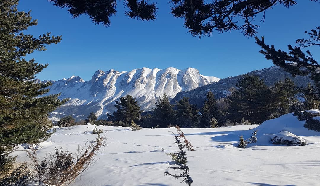 Photo n° 7 de l'avis de Yann.O fait le 09/02/2019 à 07:59