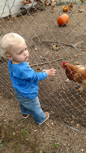 Produce Market «Kroul Farms», reviews and photos, 245 IA-1, Mt Vernon, IA 52314, USA