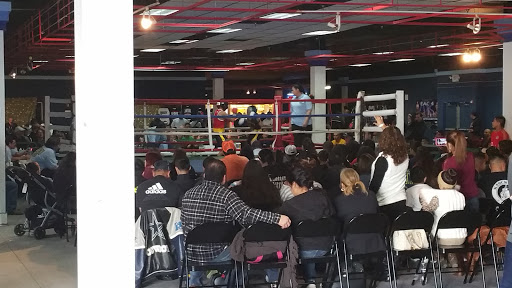 Shopping Mall «Greenspoint Mall», reviews and photos, 12300 North Fwy, Houston, TX 77060, USA