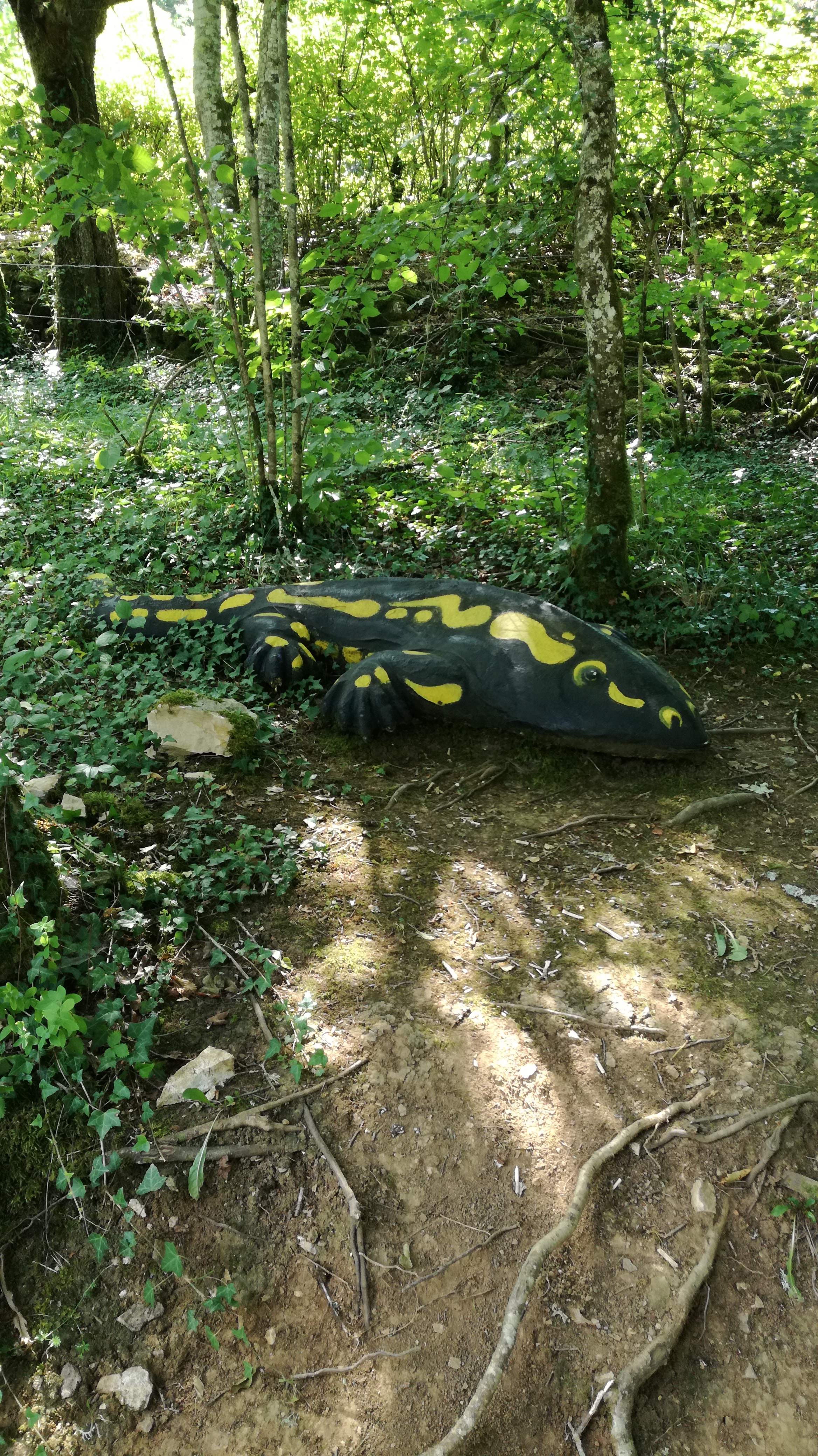 Photo n° 5 de l'avis de lhermenault.h fait le 19/07/2018 à 12:51