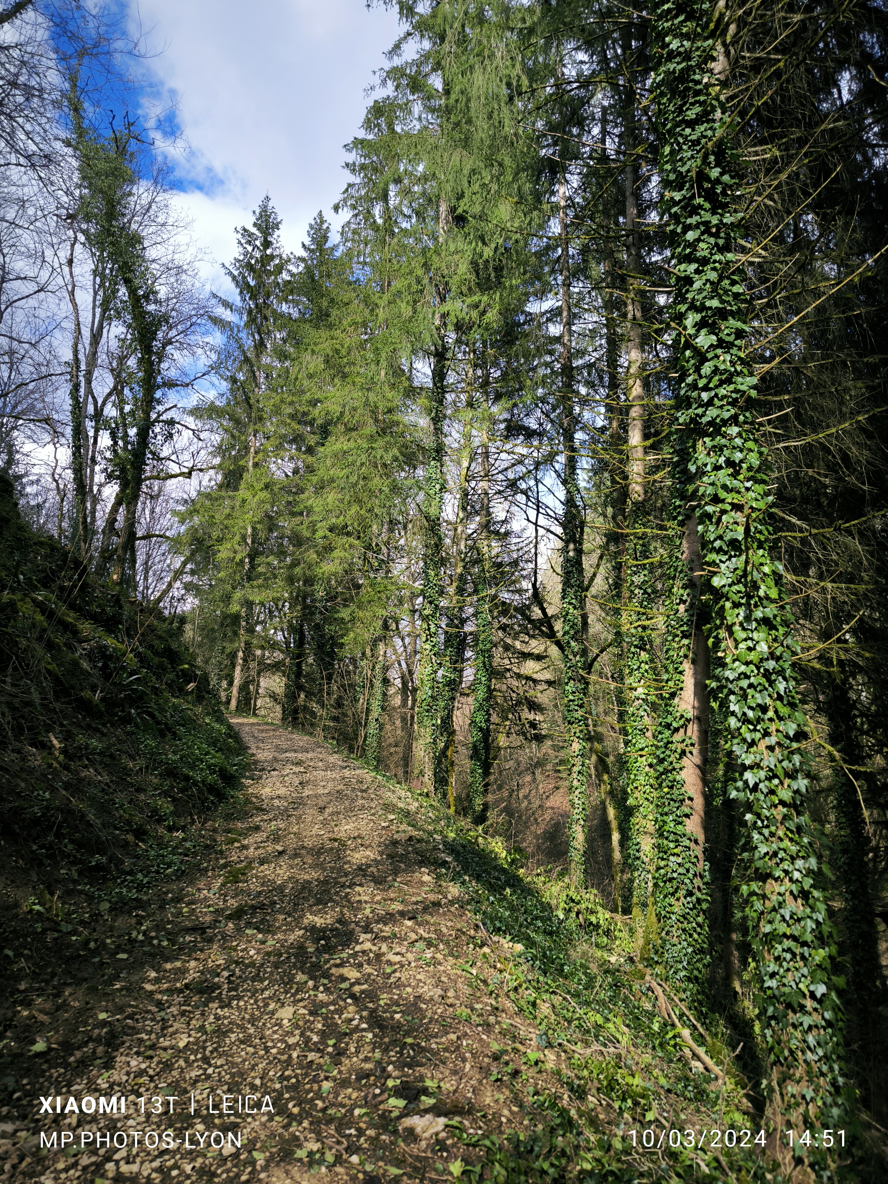 Photo n° 4 de l'avis de MARC.O fait le 17/03/2024 à 17:58
