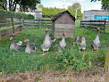Ferme de la Dierge Saint-James