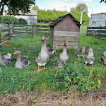Photo n° 2 de l'avis de Mickaël.o fait le 06/09/2021 à 10:40 pour Ferme de la Dierge à Saint-James