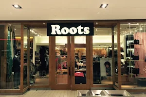 Roots image