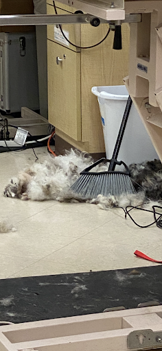 Pet Supply Store «PetSmart», reviews and photos, 3096 N Eastman Rd, Longview, TX 75605, USA