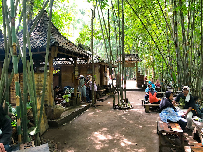 5 Tempat Menarik untuk Berkunjung di Perkebunan Pohon