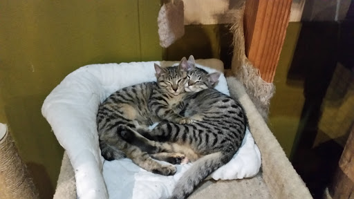 Pet Store «Next to Nature», reviews and photos, 4543 California Ave SW, Seattle, WA 98116, USA