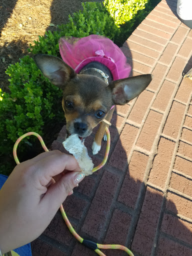 Pet Supply Store «Pet Supermarket», reviews and photos, 99 Eglin Pkwy NE #32a, Fort Walton Beach, FL 32548, USA