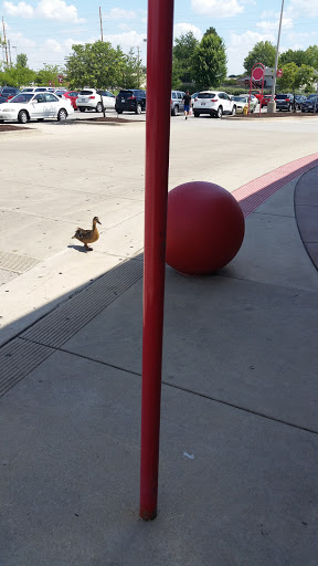 Department Store «Target», reviews and photos, 4701 N Illinois St, Fairview Heights, IL 62208, USA
