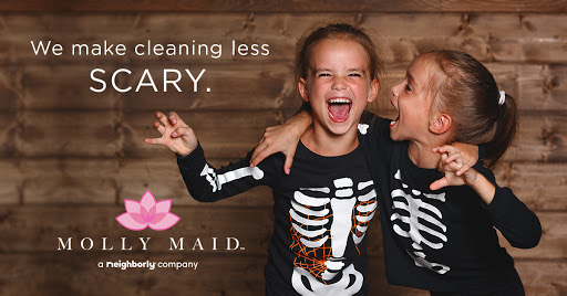 House Cleaning Service «MOLLY MAID of Central Somerset, Mercer & NW Jersey», reviews and photos, 150 West End Ave #2, Somerville, NJ 08876, USA