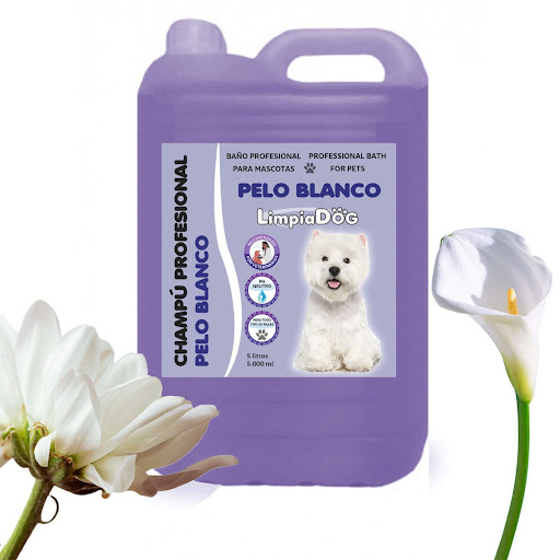 LIKEMASCOTA - Oviedo