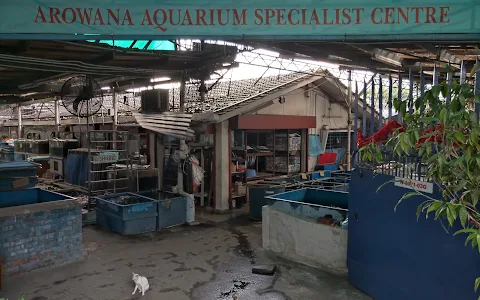 Arowana Aquarium Specialist Centre image