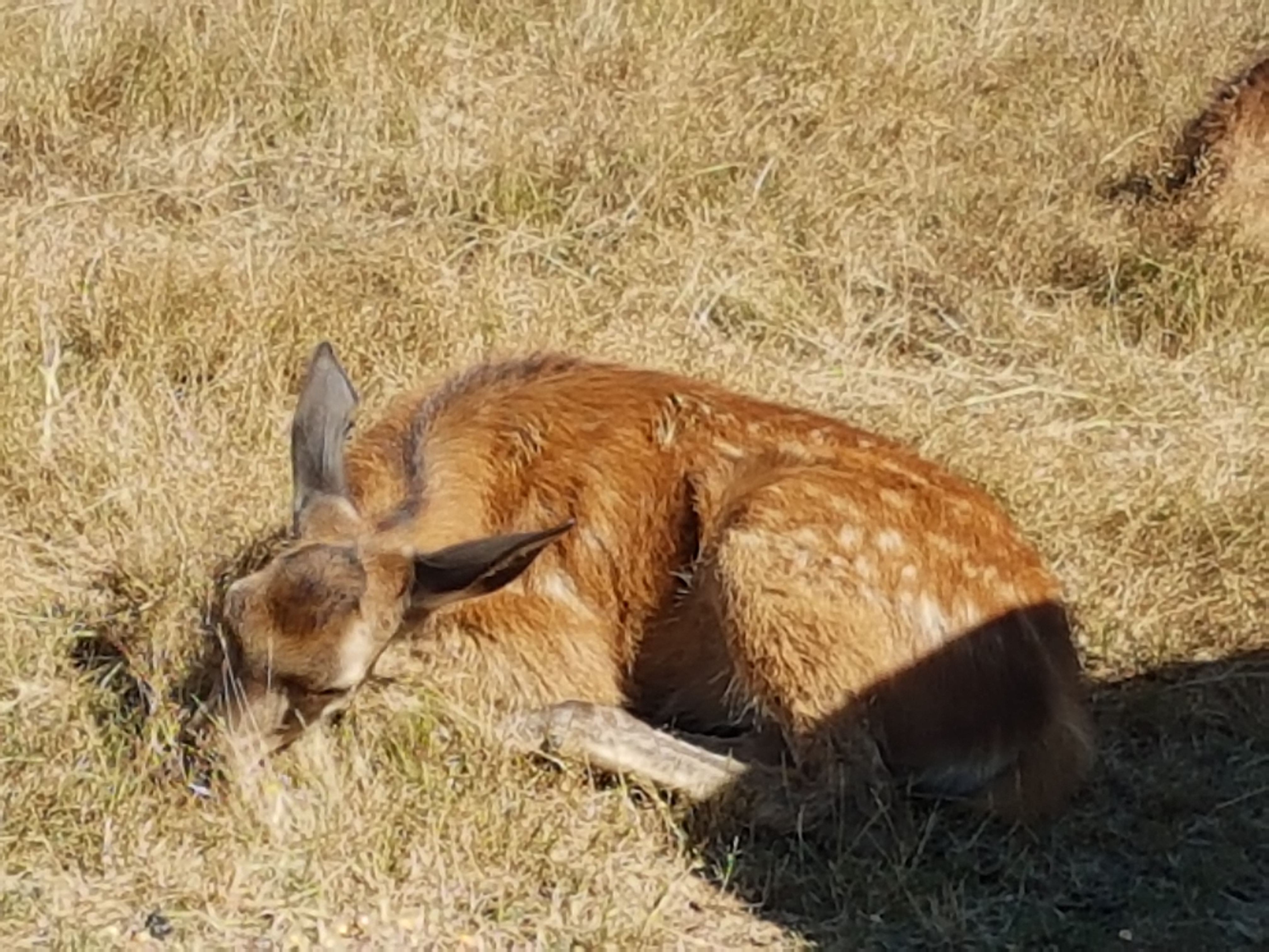 Photo n° 11 de l'avis de Antoine.u fait le 28/08/2018 à 20:48