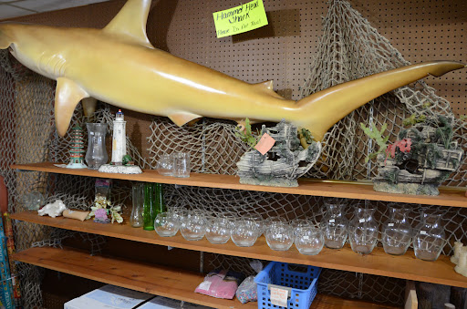 Pet Store «Night Stalkers Pet Emporium», reviews and photos, 5008 Madison Ave, Anderson, IN 46013, USA