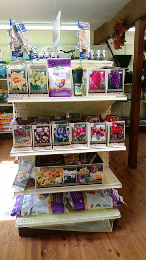 Garden Center «Town & Country Nurseries», reviews and photos, 1036 Saybrook Rd, Haddam, CT 06438, USA