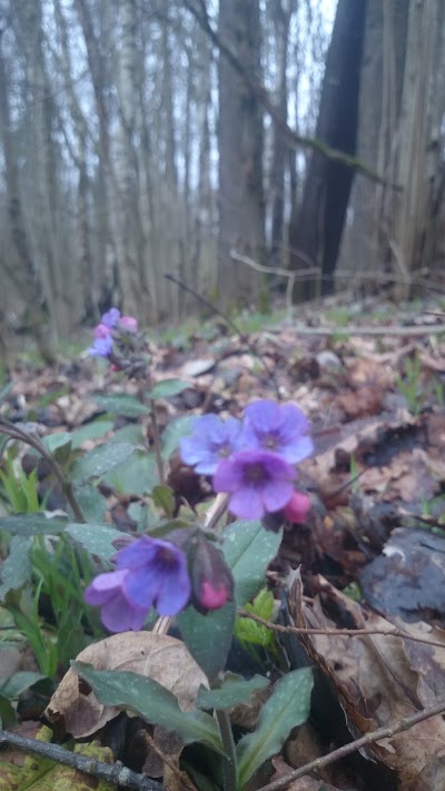 Photos of Veisieju krasto muziejus, Lazdiju krasto muziejus