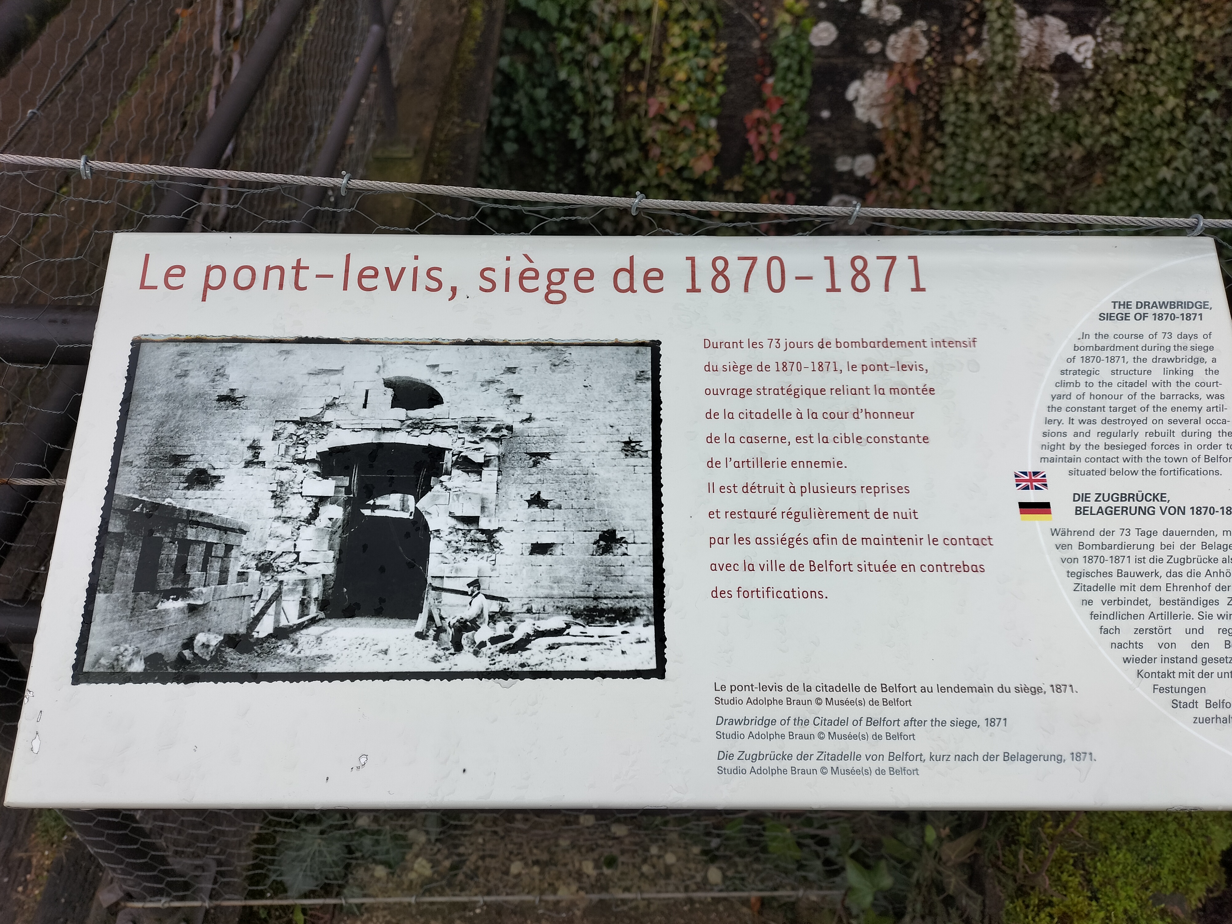 Photo n° 16 de l'avis de 67.m fait le 03/01/2022 à 20:06