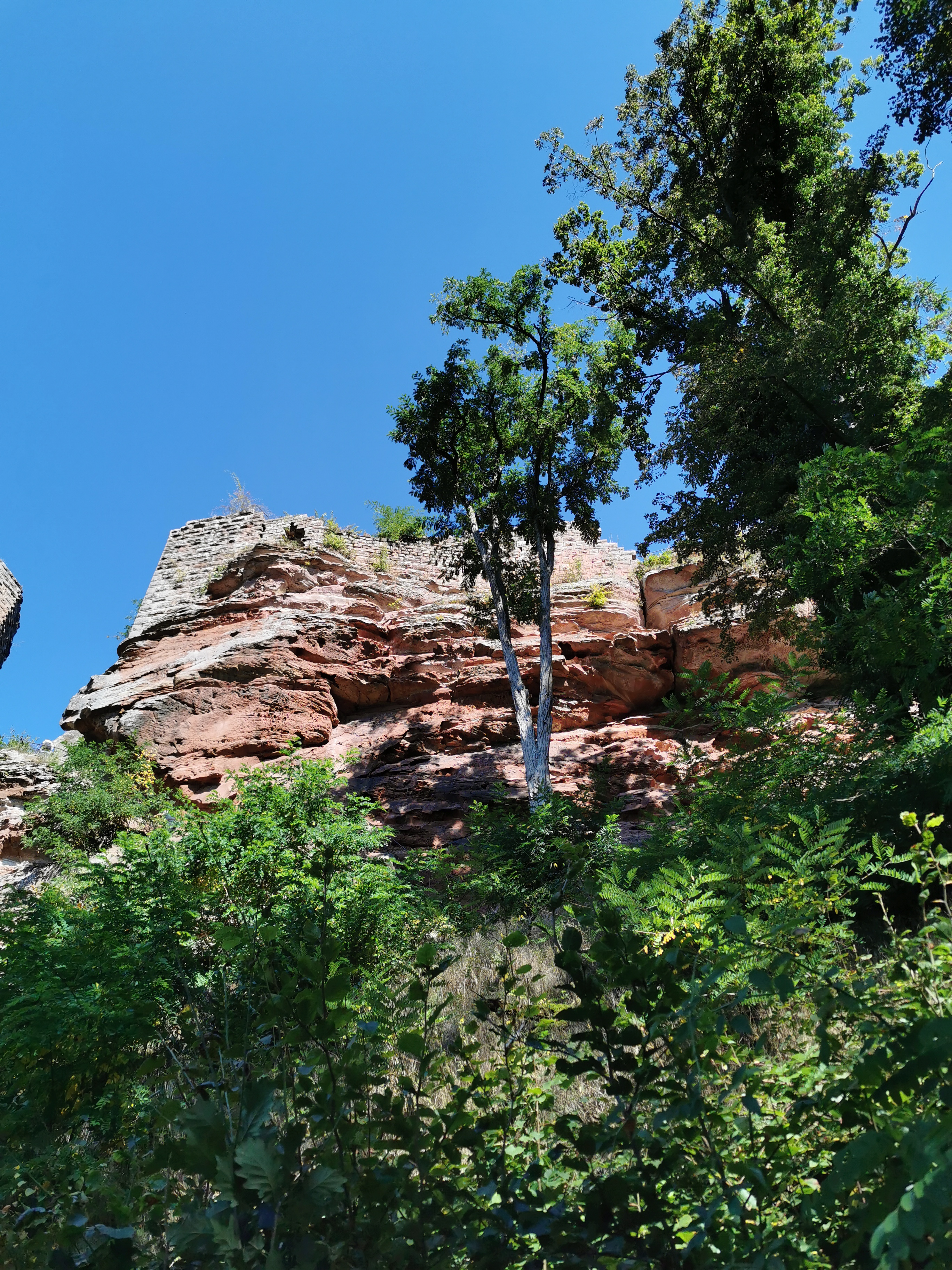 Photo n° 19 de l'avis de Uwe.c fait le 18/09/2021 à 19:30