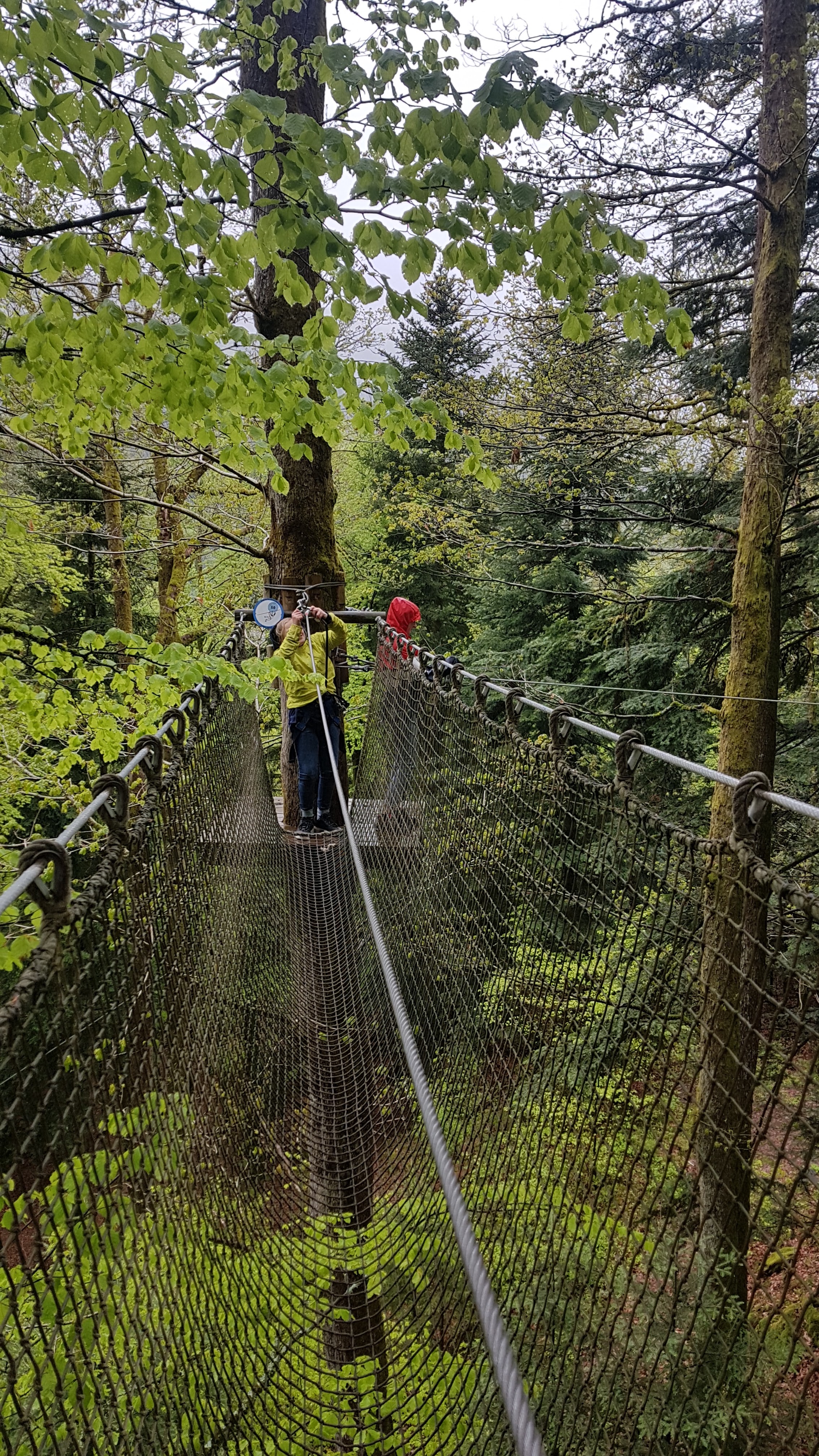 Photo n° 2 de l'avis de Erwin.u fait le 08/05/2019 à 06:26