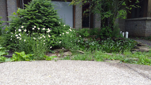 Nature Preserve «Beaver Meadow Audubon Center», reviews and photos, 1610 Welch Rd, Java Center, NY 14082, USA