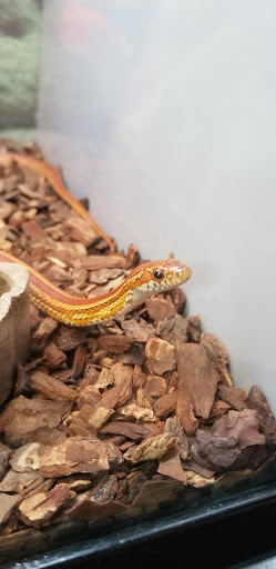 Pet Store «All Pets Club», reviews and photos, 1167 N Colony Rd, Wallingford, CT 06492, USA