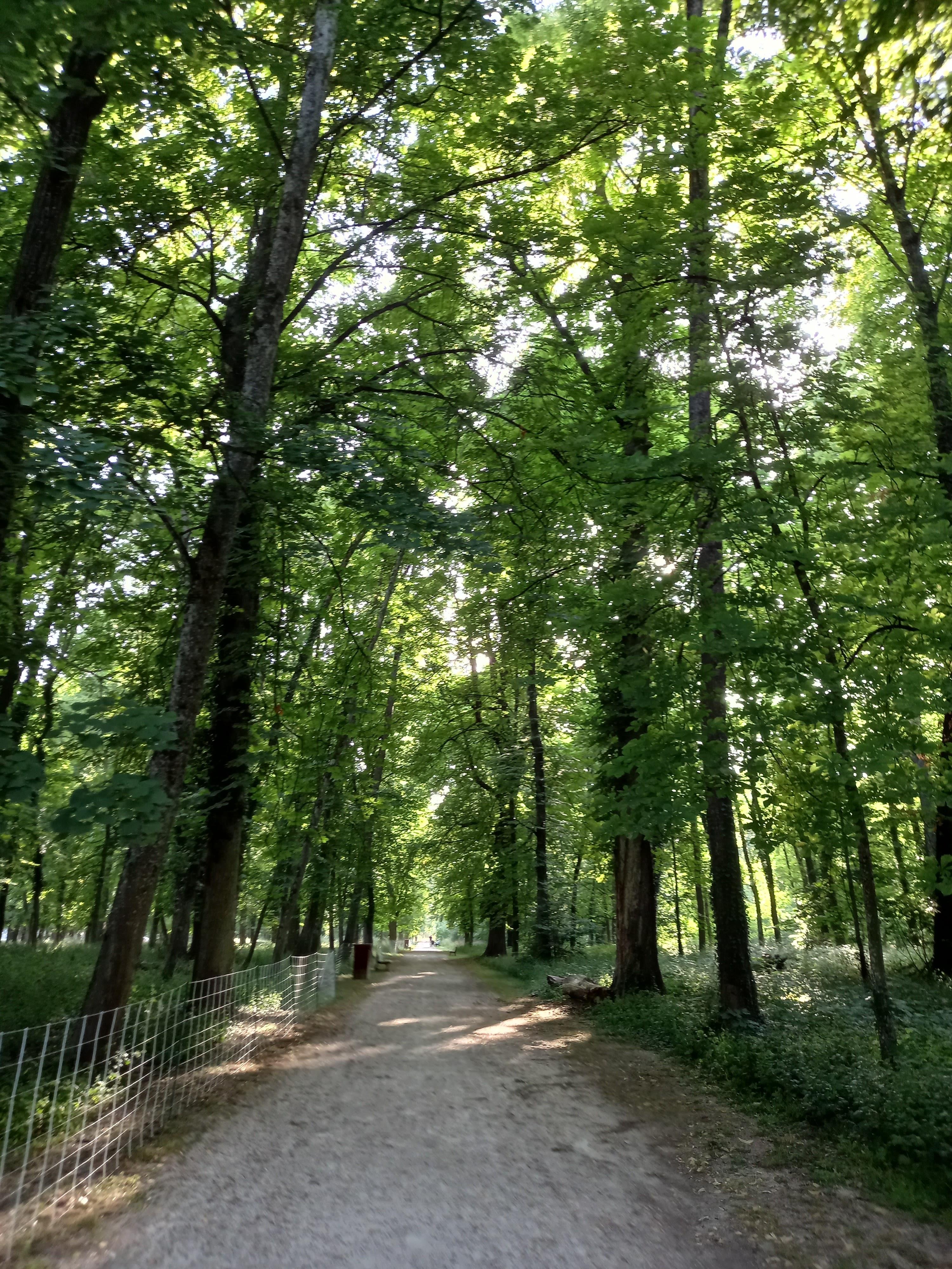 Photo n° 3 de l'avis de Geraldine.o fait le 20/06/2022 à 22:19