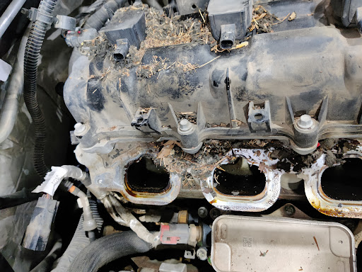 Auto Repair Shop «Blackwell Automotive», reviews and photos, 15440 N 40th St, Phoenix, AZ 85032, USA