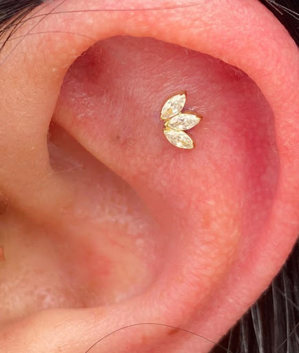 Explore panda bear tattoo ideas, creative tattoo ideas in Atlanta, available at Virtue and Vice Body Piercing