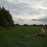 Photo n°2 de l'avis de Jörg.o fait le 21/09/2021 à 16:36 sur le  Pharisäerhof - Hotel / Restaurant / Café auf Nordstrand à Nordstrand