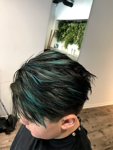 Beauty Salon «GS Hair Studio Beauty Salon and Spa», reviews and photos, 9016 N Milwaukee Ave, Niles, IL 60714, USA