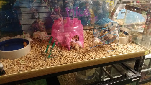 Pet Store «Pet Zone», reviews and photos, 8925 Jewella Ave #4, Shreveport, LA 71118, USA