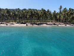 Photo de Playa Las Majaguas avec rivage droit, long