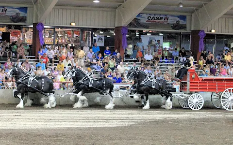 Grandview Clydesdales image