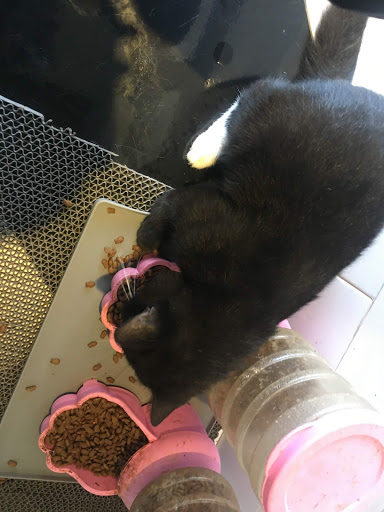 Top 20 cửa hàng kim yến Quận Ba Đình Hà Nội 2022