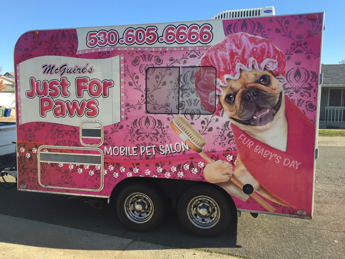Just For Paws, mobile pet salon