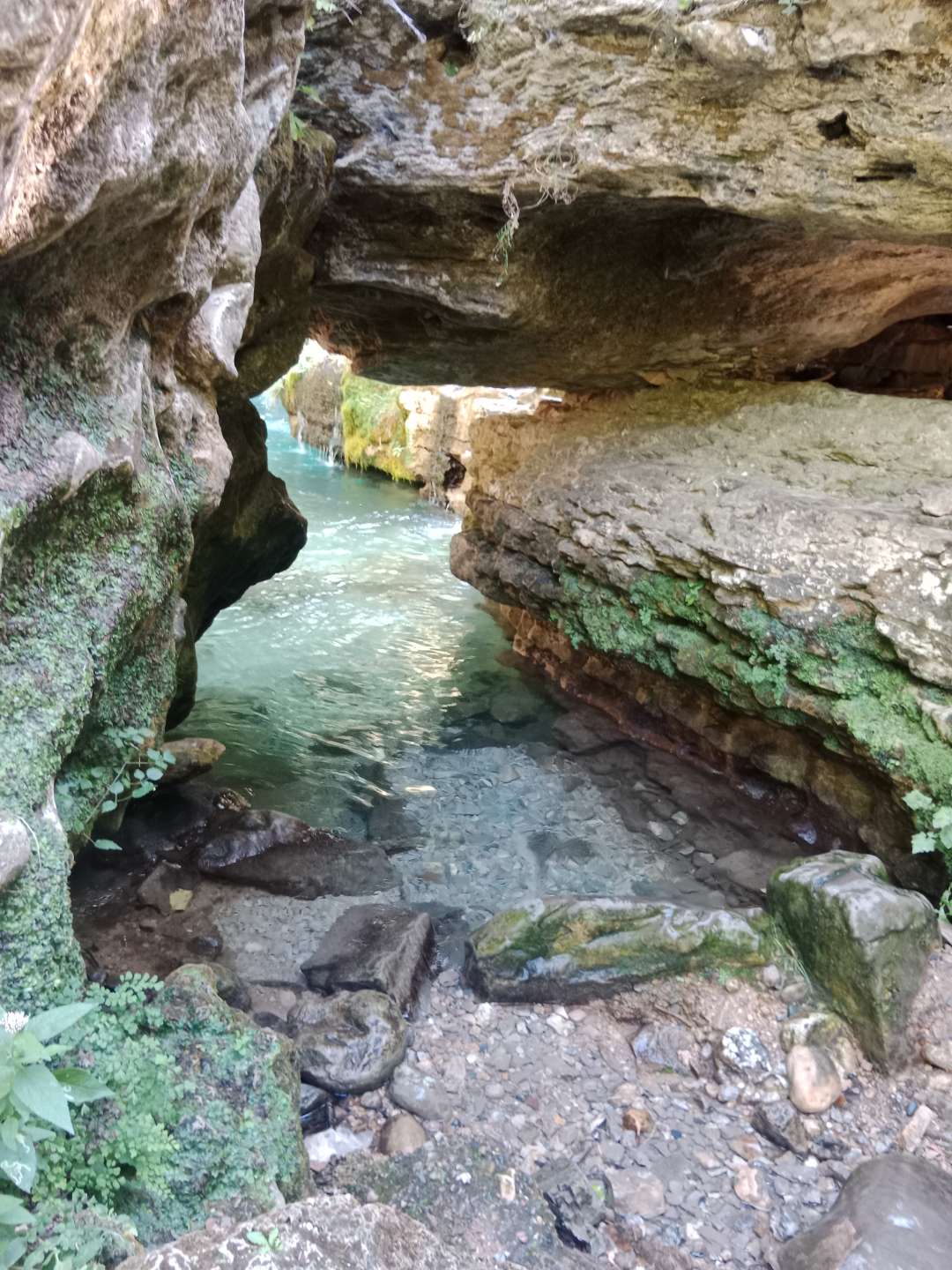 Photo n° 9 de l'avis de Tanguy.T fait le 10/03/2024 à 20:54