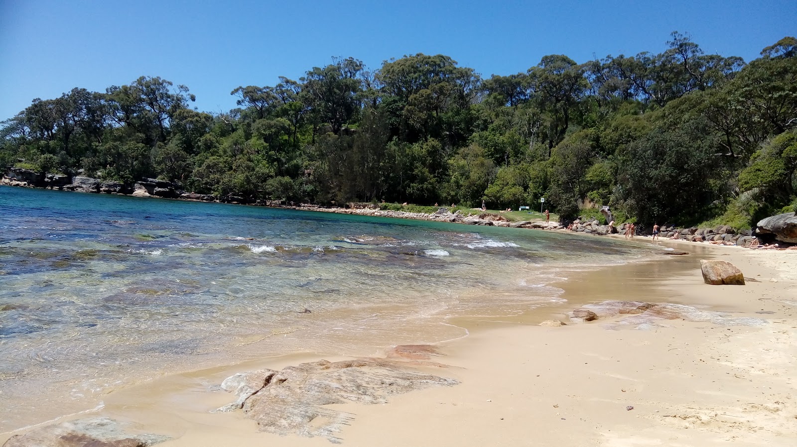 Zdjęcie Cobblers Beach dziki obszar