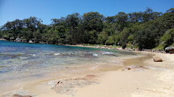 Zdjęcie Cobblers Beach dziki obszar