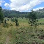 Photo n°2 de l'avis de Amebolo. fait le 22/08/2023 à 13:30 sur le  Agritur Malga Vallazza à Tonadico