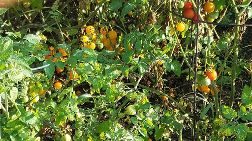 Auditorium «Bedford Heights Community Center», reviews and photos, 5615 Perkins Rd, Bedford Heights, OH 44146, USA